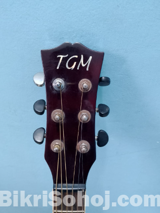 TGM guitar